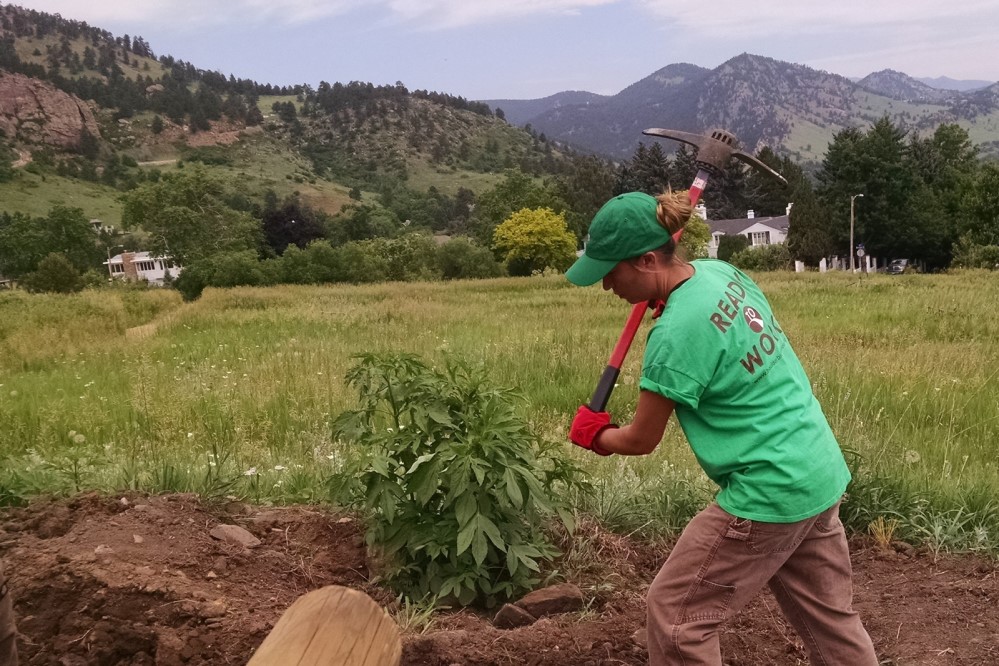 Photo of landscaper