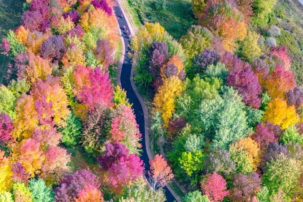  Rib Mountain Aerial Photo of Trillium Fall Colors