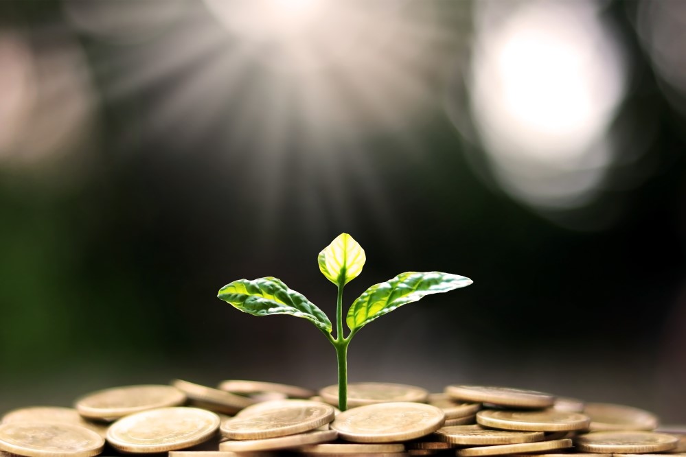 Image of plant growing out of coins