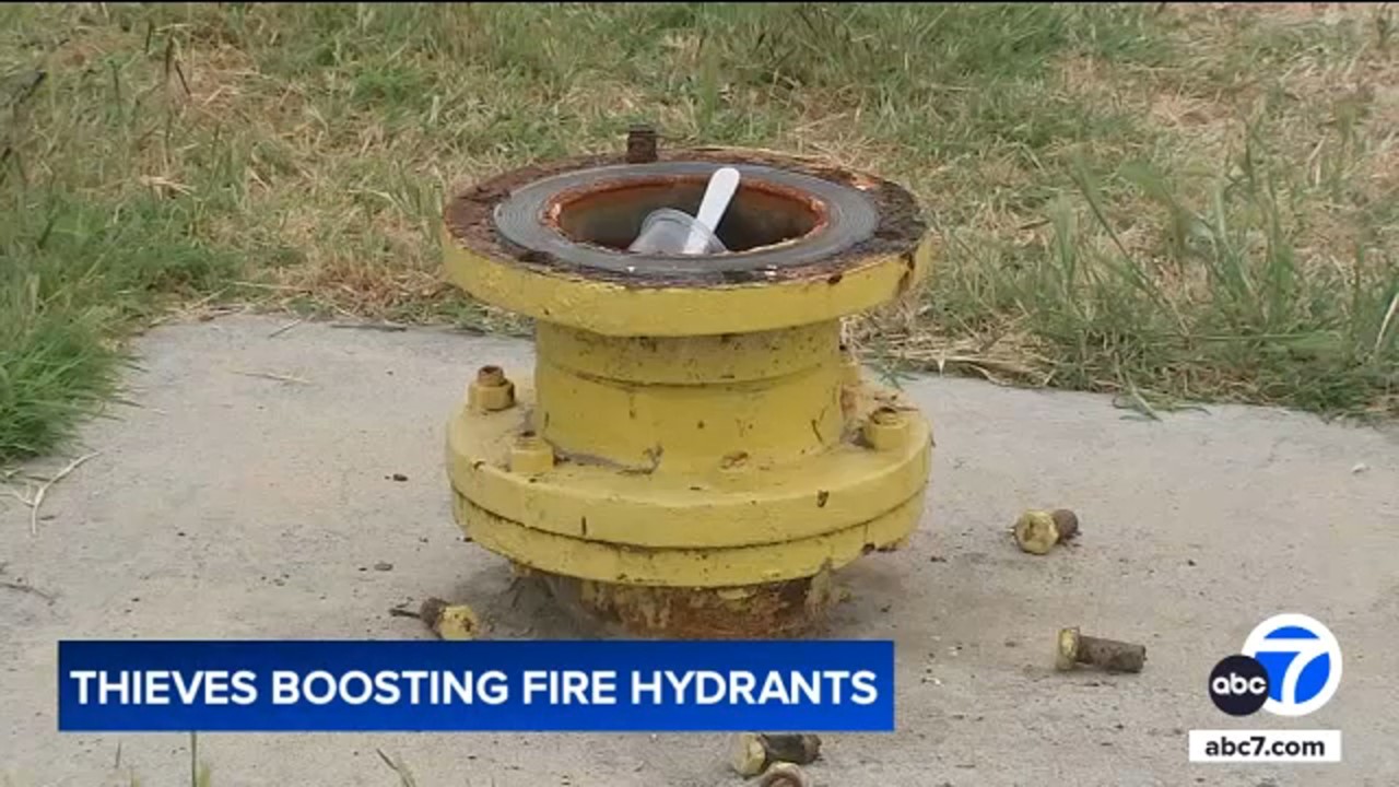 Image of vandalized fire hydrants