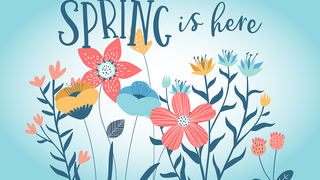 Spring is here - adobe stock